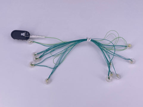 Christmas Lights String
